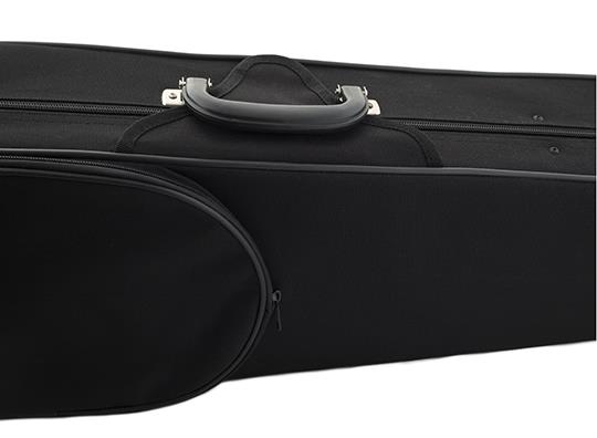 Violin Case (2).jpg