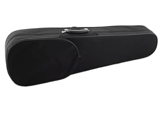 Violin case